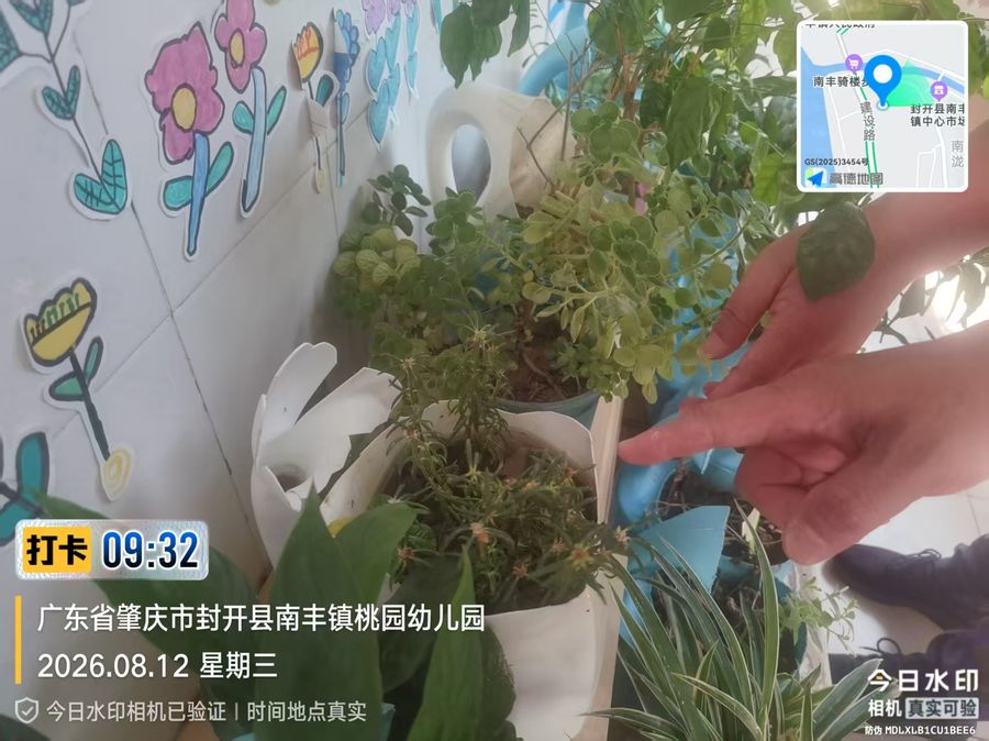 桃园幼儿园检查